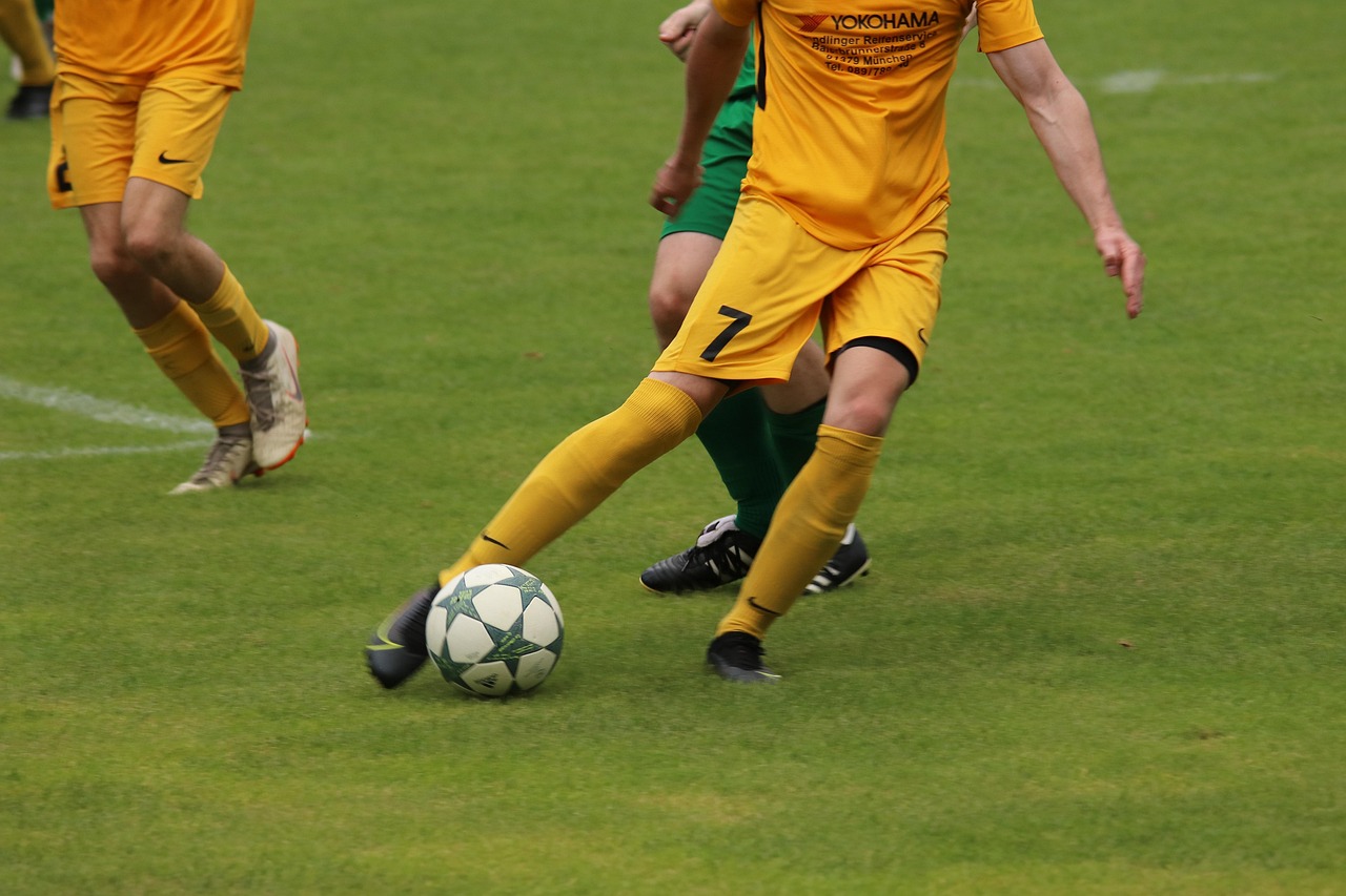 一口气看完 一口气看完