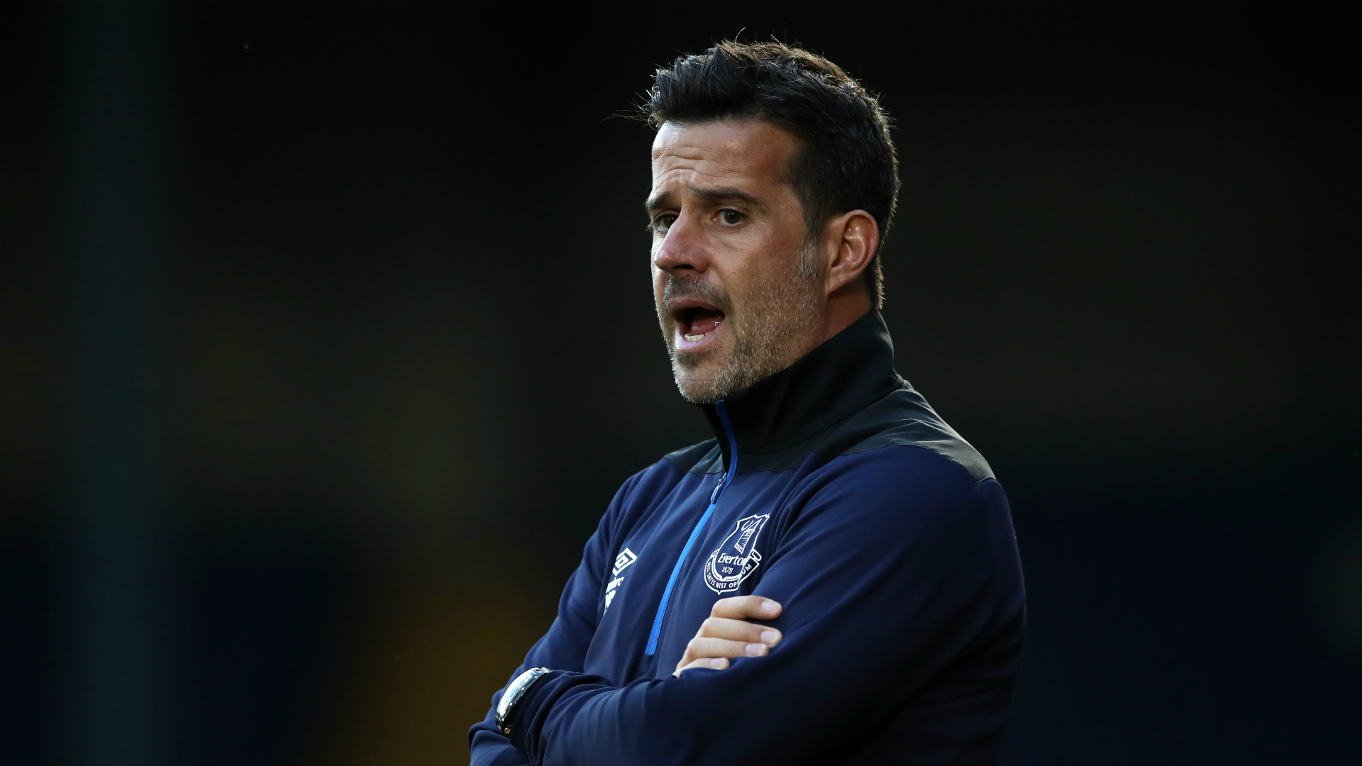 佩里担任球 佩里担任球